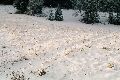 12.-Sucha_Dolina-snieg.jpg