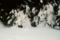 24.-Trzy_Kopce-snieg.jpg