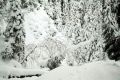 b09.-Dolina_Tomanowa-snieg.jpg