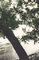 1997-07.-jezioro.jpg